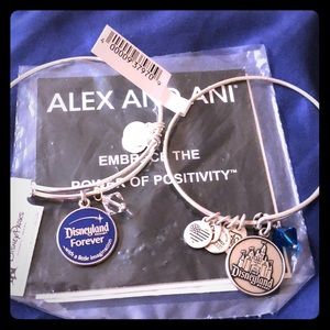 DISNEY ALEX AND ANI